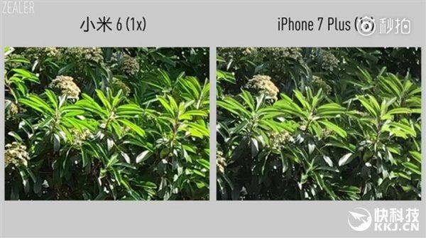 Сравнение камер смартфонов Xiaomi Mi6 и iPhone 7 Plus
